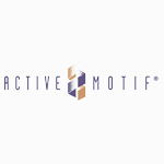 Active Motif